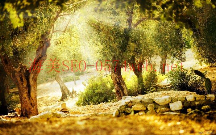 【常見問題】SEO 需要花多少時(shí)間才能看到成效？ - SEO公司| 企業(yè)網(wǎng)絡(luò)營銷| 百度關(guān)鍵詞排名- 海美SEO