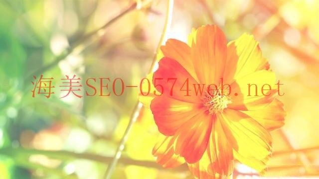【SEO教學(xué)】SEO 是什么？3 個(gè)最常見(jiàn)的 SEO 謬誤你要知！ - 海美SEO
