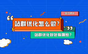 seo站群怎么優(yōu)化？