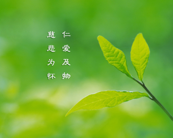 視頻中如何提取文案字幕