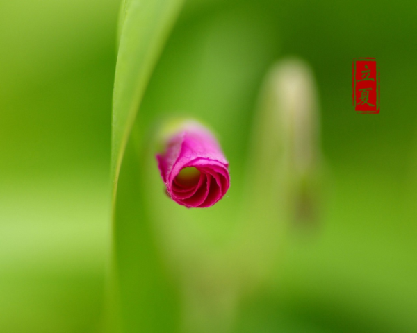 Java 實例  ndash  自定義異常  介紹