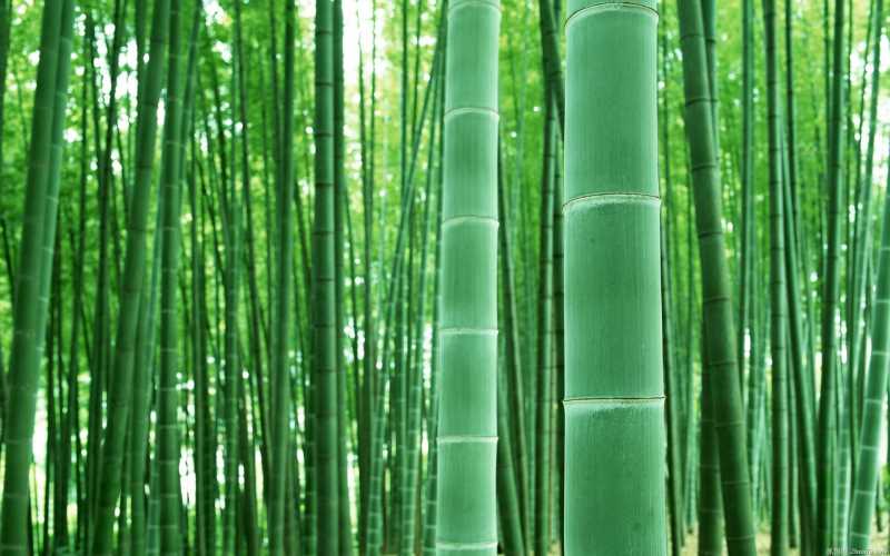 企業(yè)網站關鍵詞優(yōu)化