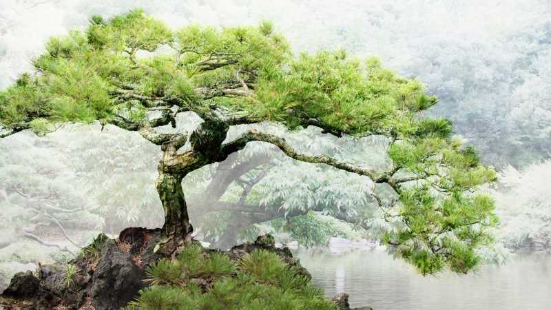 移動(dòng)端seo核心優(yōu)化思路分享
