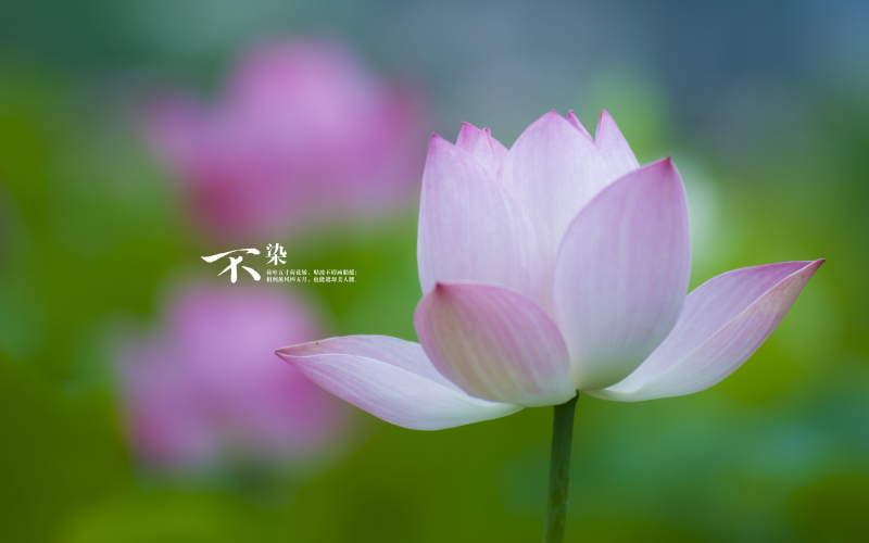 淘寶店鋪移動(dòng)端優(yōu)化